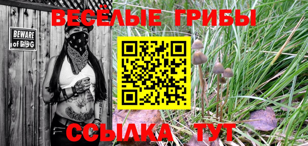 Галлюциногенные грибы мицелий  даркнет сайт  Каменск-Шахтинский  Вход с VPN  Псилоцибиновые грибы ЛСД 